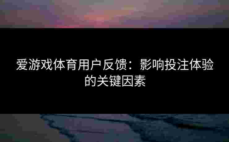 爱游戏体育用户反馈：影响投注体验的关键因素