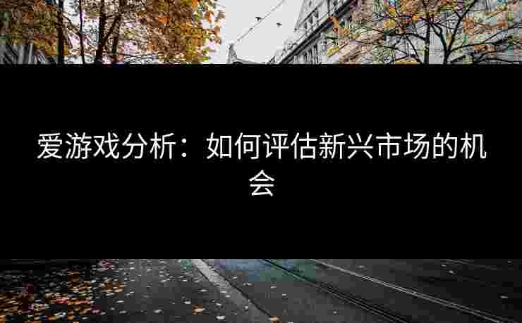 爱游戏分析：如何评估新兴市场的机会