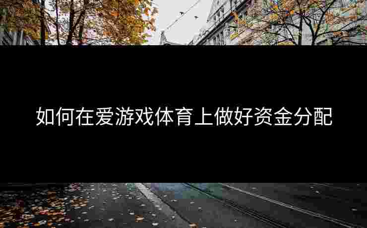 如何在爱游戏体育上做好资金分配